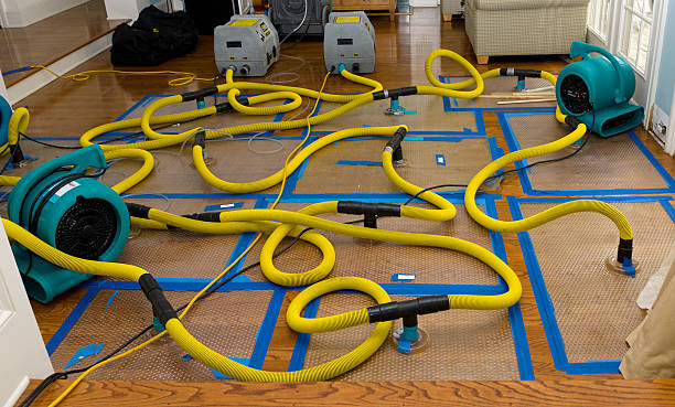 Professional Crawl Space Water Removal technician working in Attica, OH